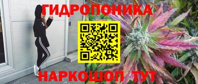 синтетический гашиш Лесосибирск