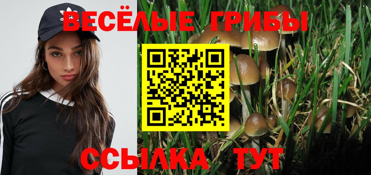 Галлюциногенные грибы Cubensis Елизово