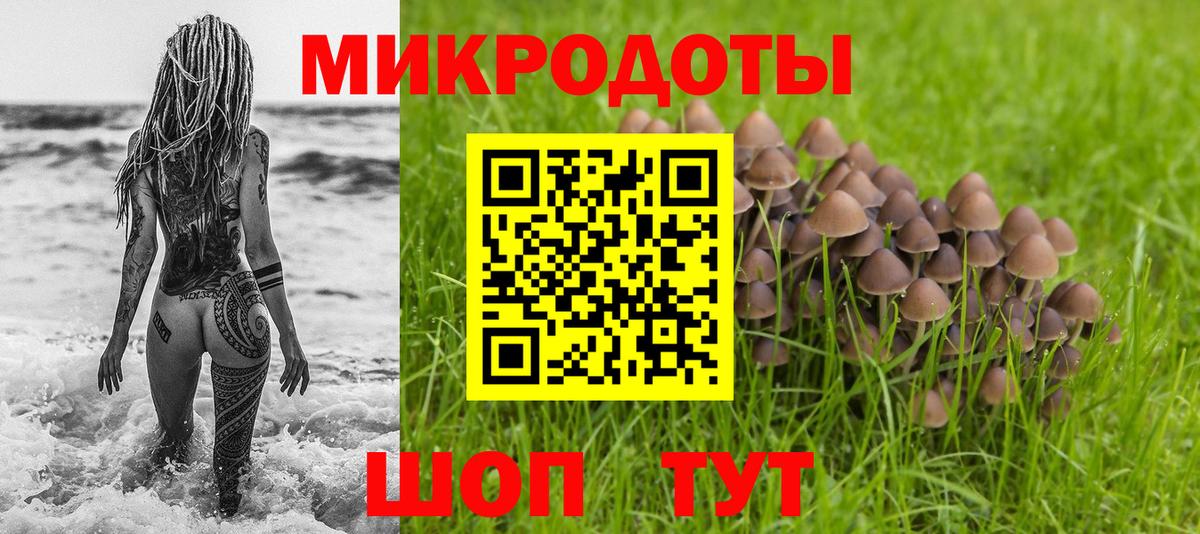 Елизово  Галлюциногенные грибы прущие грибы  Вход с VPN 