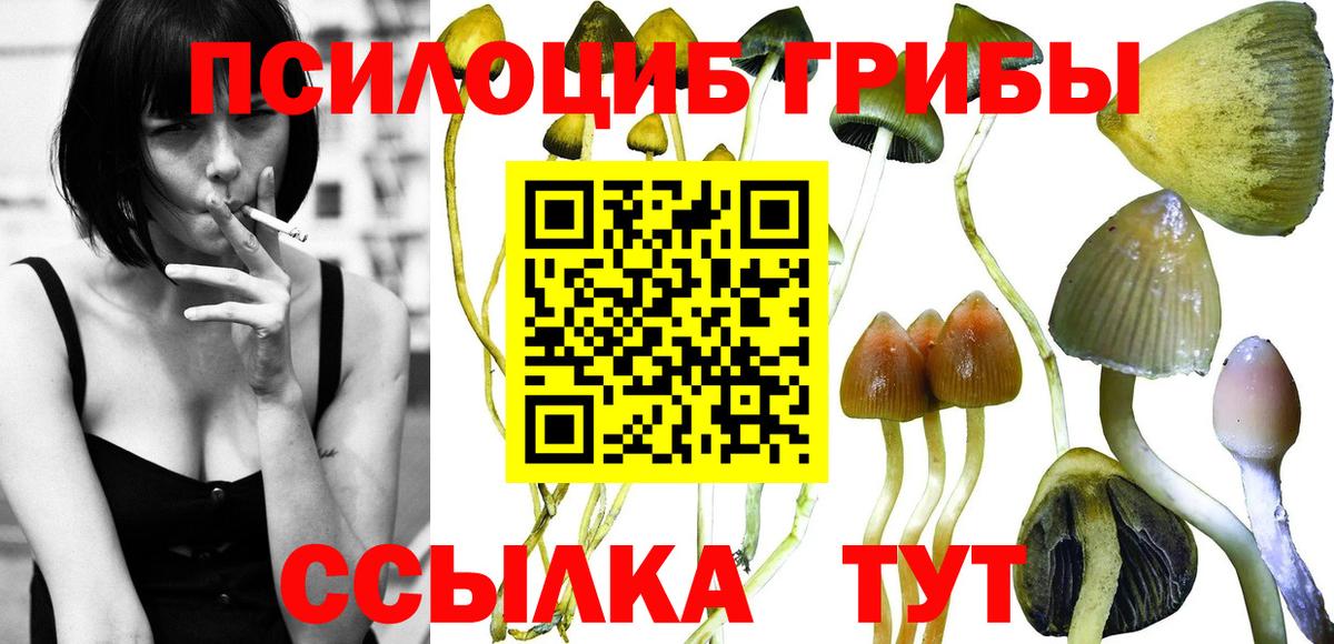 Мефедрон Елизово
